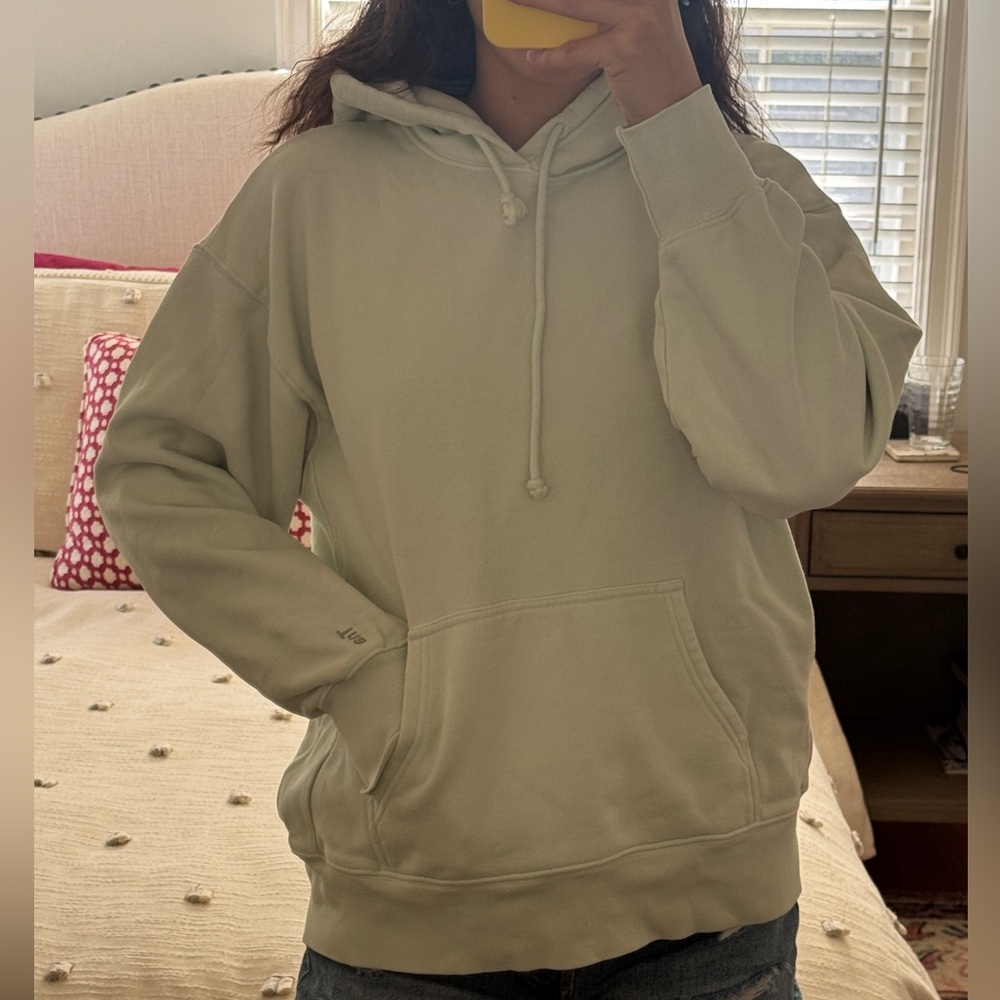 TNA boyfriend pastel green hoodie